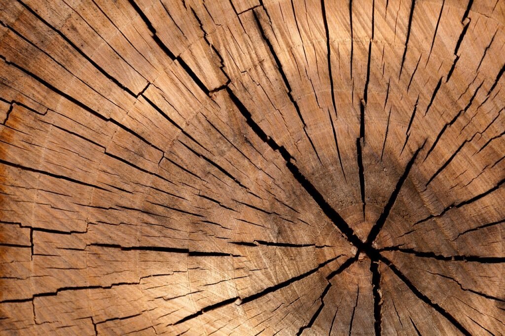 lumber, log, wood, tree, cross section, tree log, texture, material, brown, cut tree, tree details, nature, structure, stump, surface, timber, trunk, wooden, tree rings, growth rings, wood, wood, wood, wood, wood, tree, tree, texture